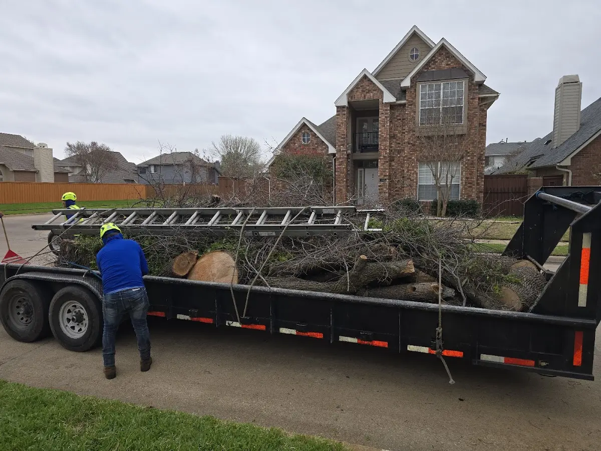 Expert Tree Fertilization with proper safety equipment in Newellton